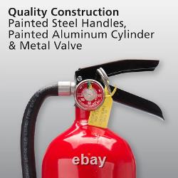 Pro 210 2A10-BC Fire Extinguisher, Rechargeable, Multi-Purpose for Home & Offi