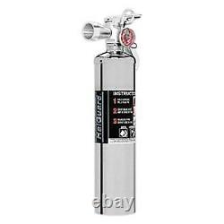 Rennline MaxOut Chrome 1 lb Dry Chemical Fire Extinguisher