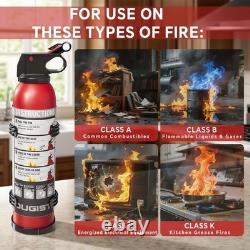 Small Fire Extinguisher 6Pack 1.32lb Ougist FF600 for Home Car Kitchen
